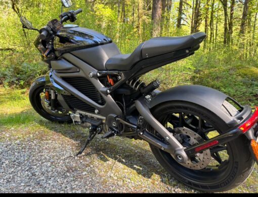 Buy 2020 Harley-Davidson LiveWire Online