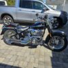 Buy Harley Roadster Online