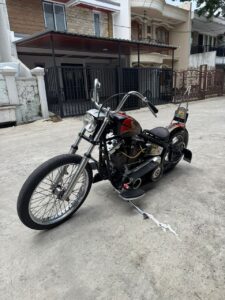 Buy 1972 Twin Evo Chopper online